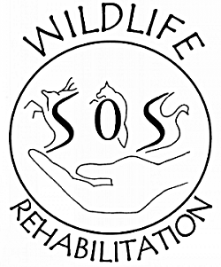 WRSS Logo